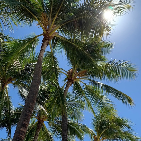 WELCOME🦋🌻👑💕 - Picture 8 of 8